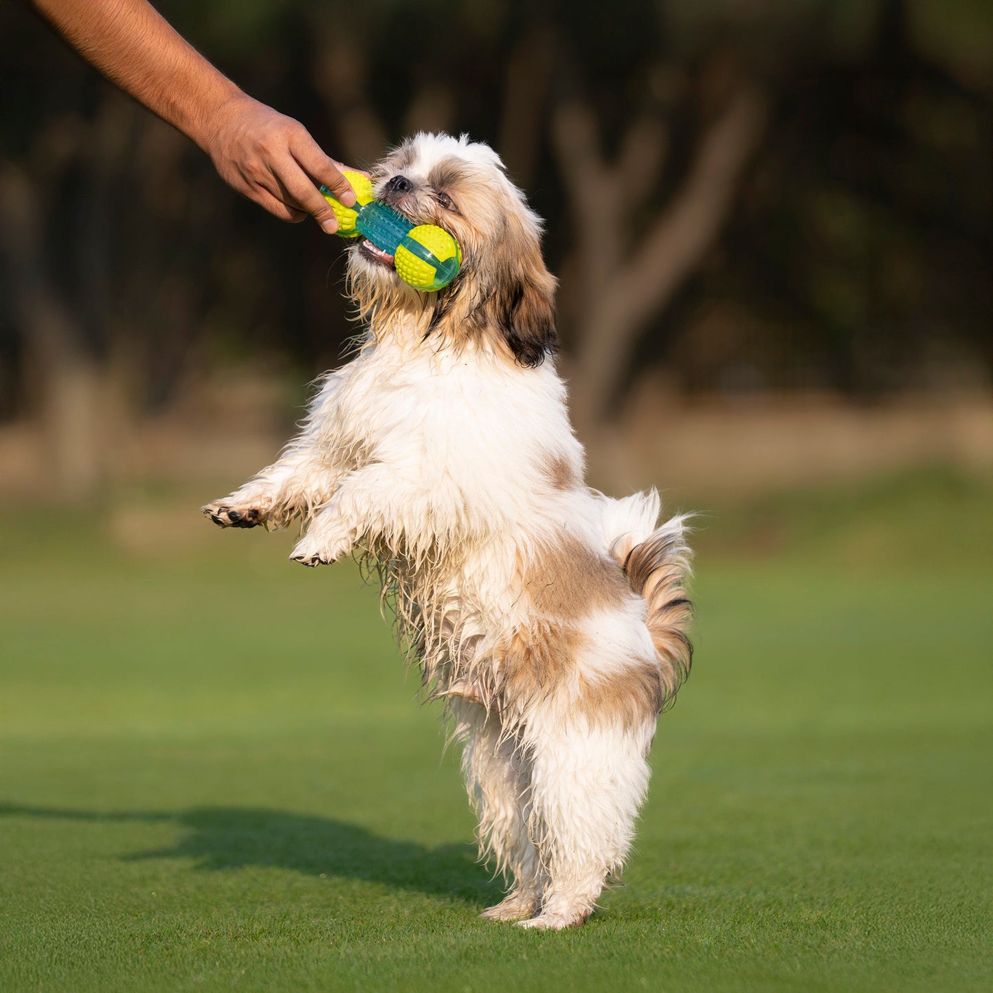 Dash Dog Extreme Play Squeaky Dumbbel Toy For Dog - Green