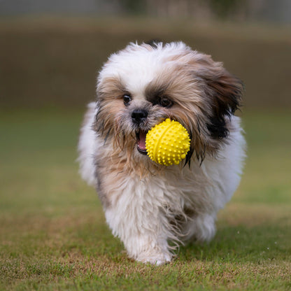 Dash Dog Mello-Yello Ball Toy Dog Toy