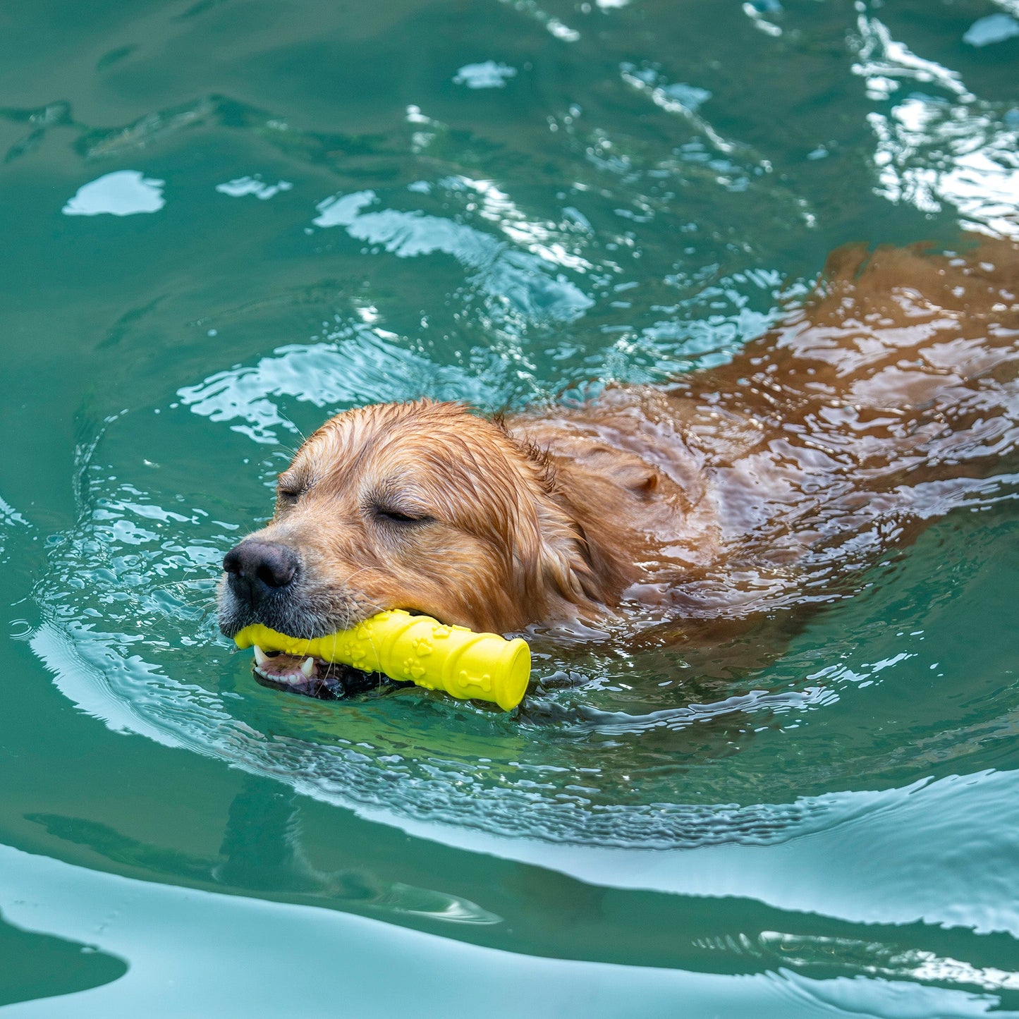 Dash Dog Mello-Yello Stick Toy For Dog