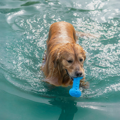 Dash Dog Softy Spiker Toy For Dog