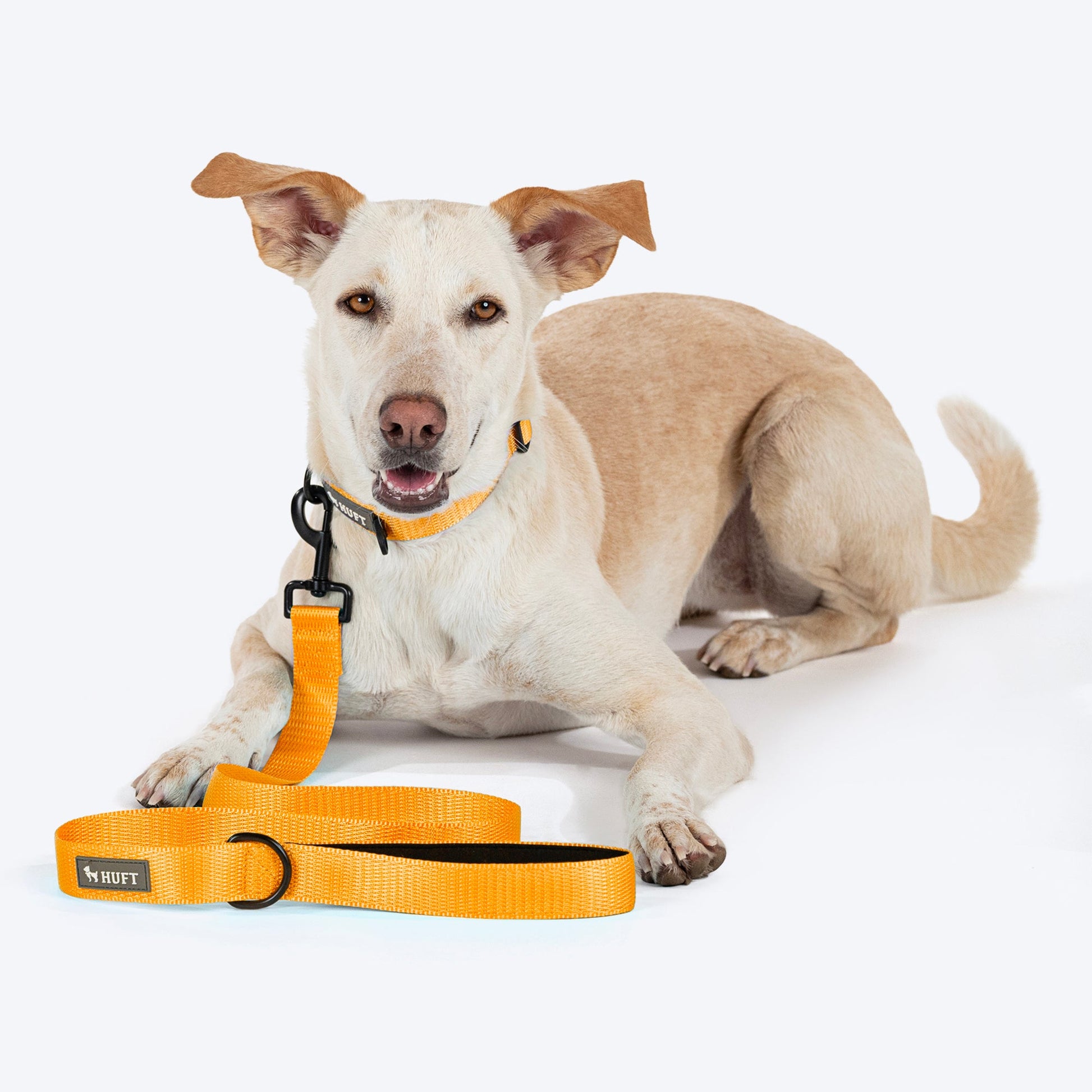 HUFT Basics Dog Leash - Yellow - Heads Up For Tails