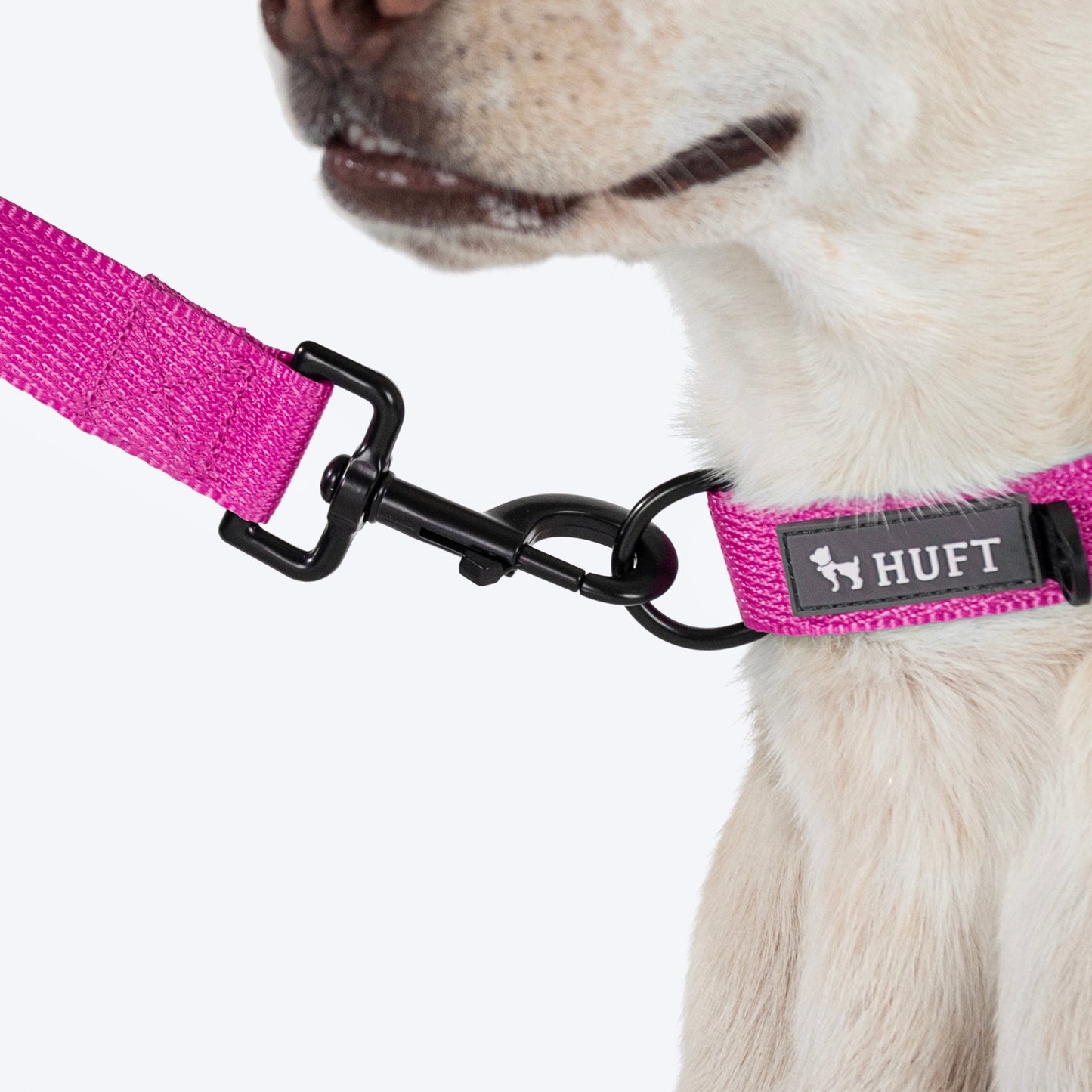 HUFT Basics Dog Leash - Pink - Heads Up For Tails