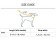 Dash Dog Zoom Easy Leash For Dog - Purple