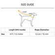 HUFT Rope Leash With Carabiner For Dog - Grey - 1.2 m