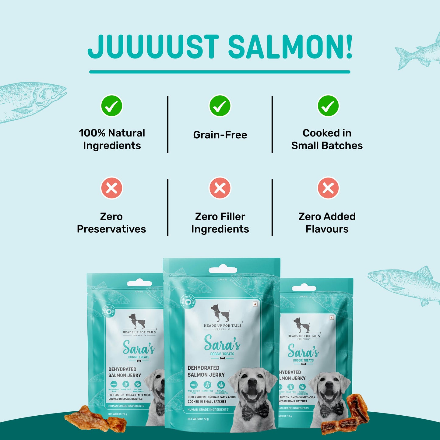 HUFT Salmon Jerky Treat For Dog - 70gm
