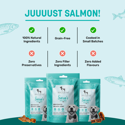 HUFT Salmon Jerky Treat For Dog - 70gm