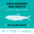 HUFT Salmon Jerky Treat For Dog - 70gm