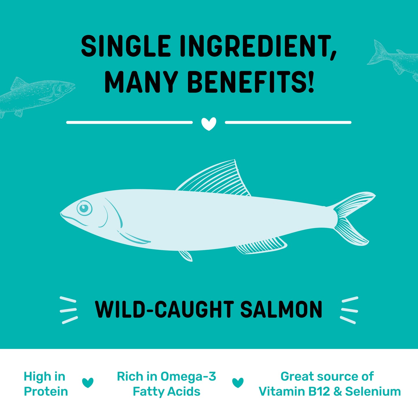 HUFT Salmon Jerky Treat For Dog - 70gm