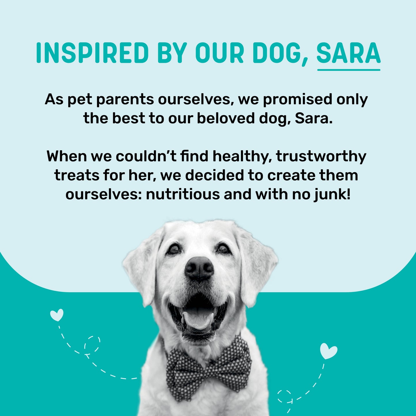 HUFT Salmon Jerky Treat For Dog - 70gm