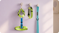 Walk Gear