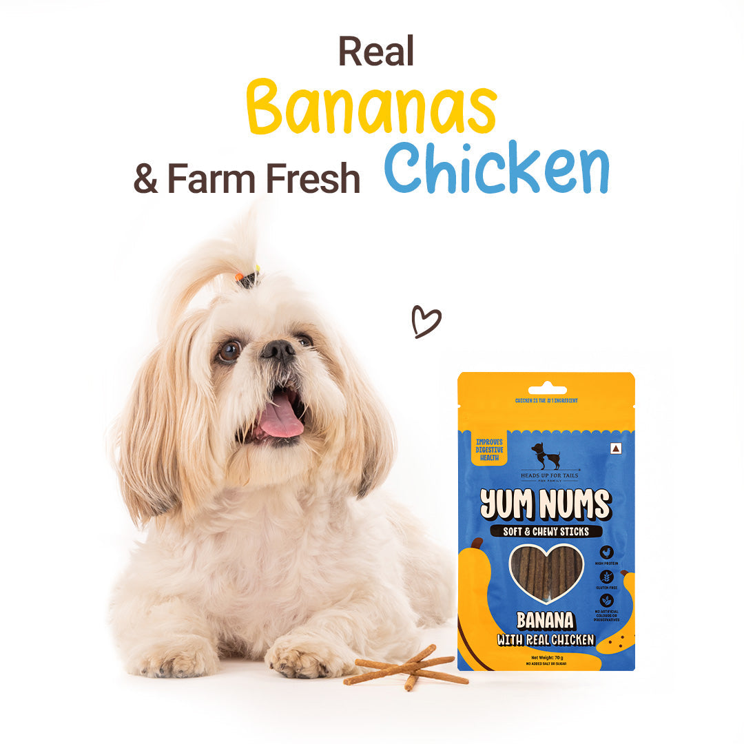 HUFT Yum Nums Banana With Real Chicken Soft & Chewy Sticks Treat For Dogs - 70 g