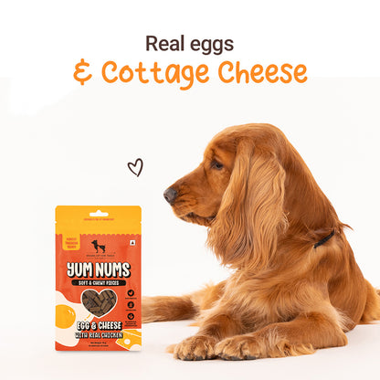 HUFT Yum Nums Soft & Chewy Sticks Egg & Cheese With Real Chicken Treat For Dogs - 70g