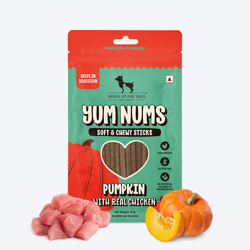 HUFT Yum Nums Pumpkin With Real Chicken Soft & Chewy Sticks Treat For Dogs - 70g