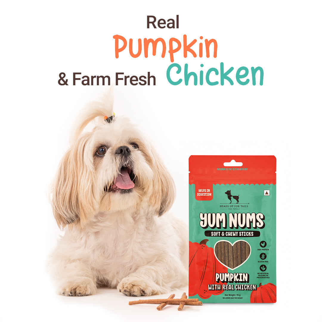 HUFT Yum Nums Pumpkin With Real Chicken Soft & Chewy Sticks Treat For Dogs - 70g