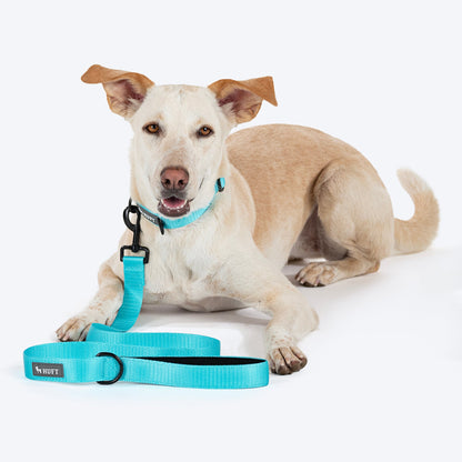 HUFT Basics Dog Leash - Blue - Heads Up For Tails