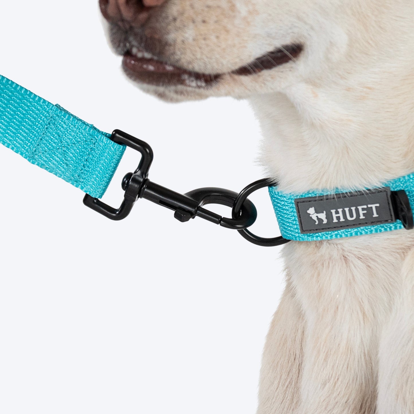 HUFT Basics Dog Leash - Blue - Heads Up For Tails