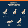 HUFT Trooper Front Leg Support Lift Harness For Dogs - Navy Blue