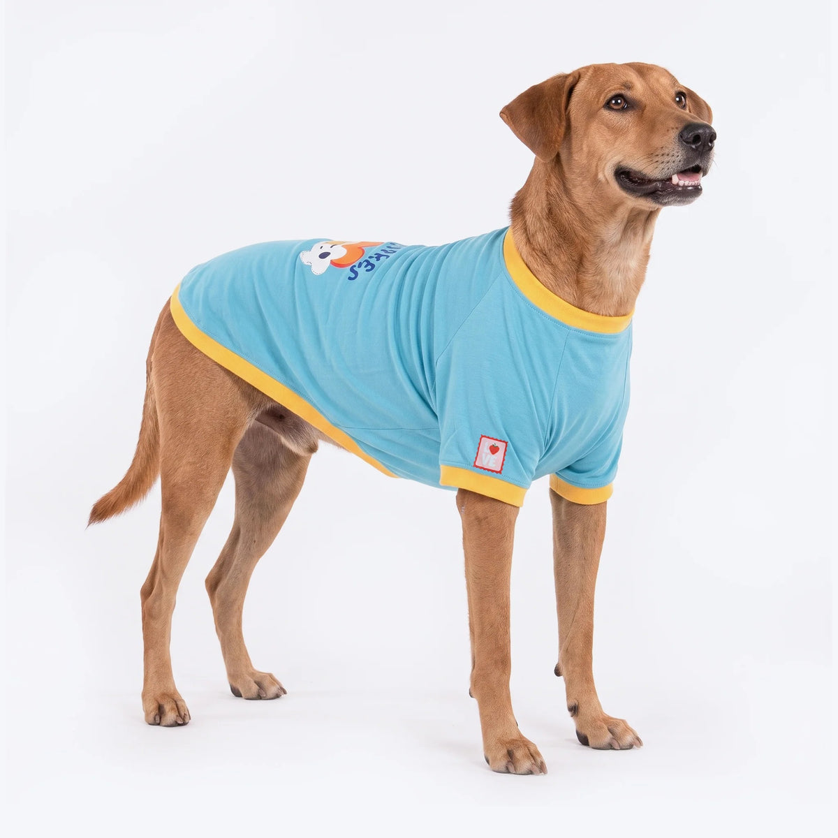HUFT Rainbow Happiness Printed T-Shirt For Dog - Sky Blue