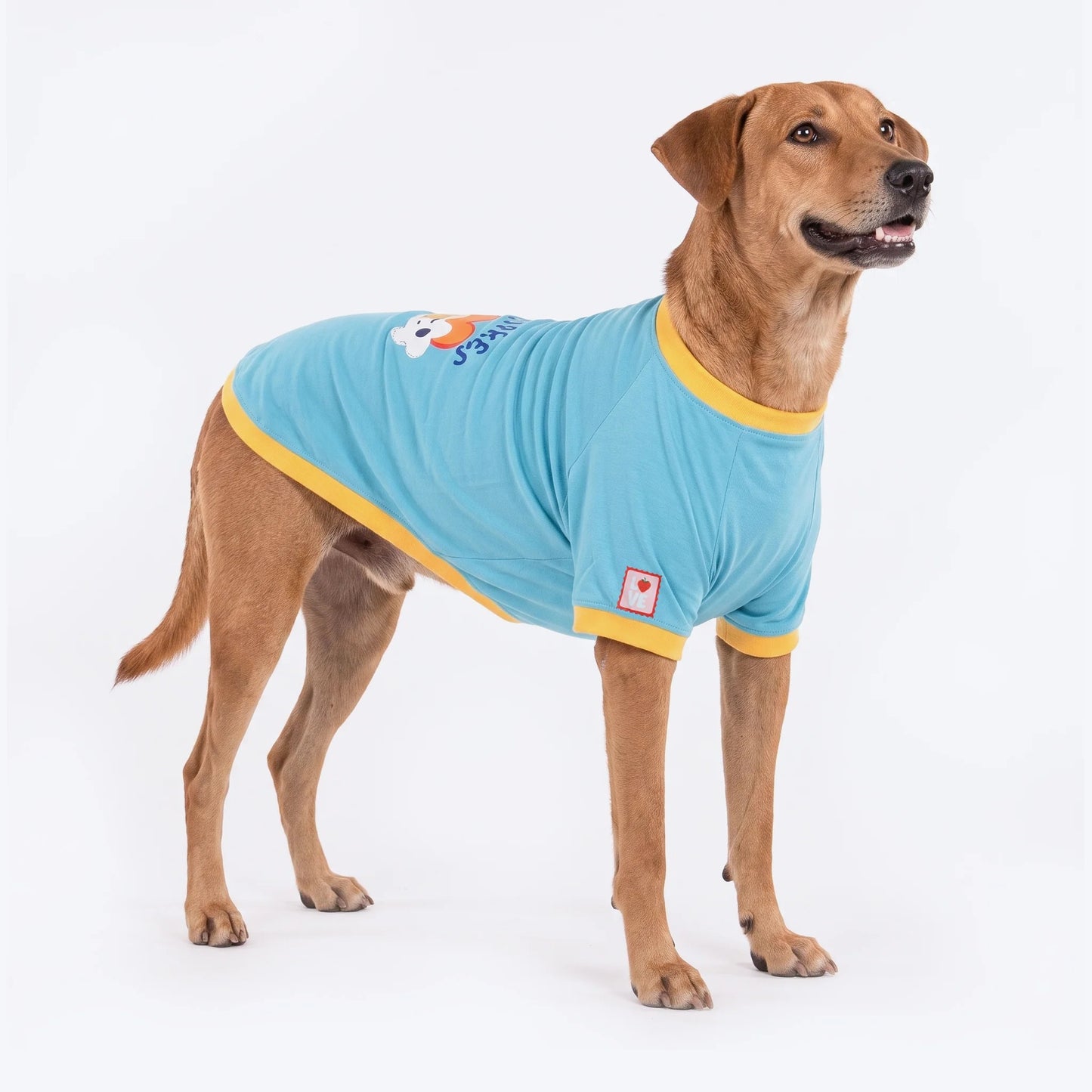 HUFT Rainbow Happiness Printed T-Shirt For Dog - Sky Blue