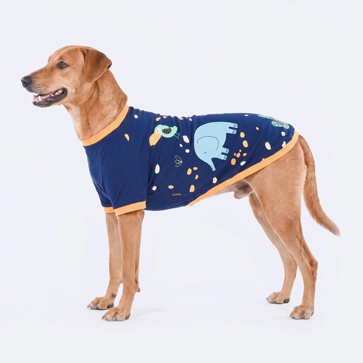 HUFT Wild One Printed T-Shirt For Dog - Navy Blue