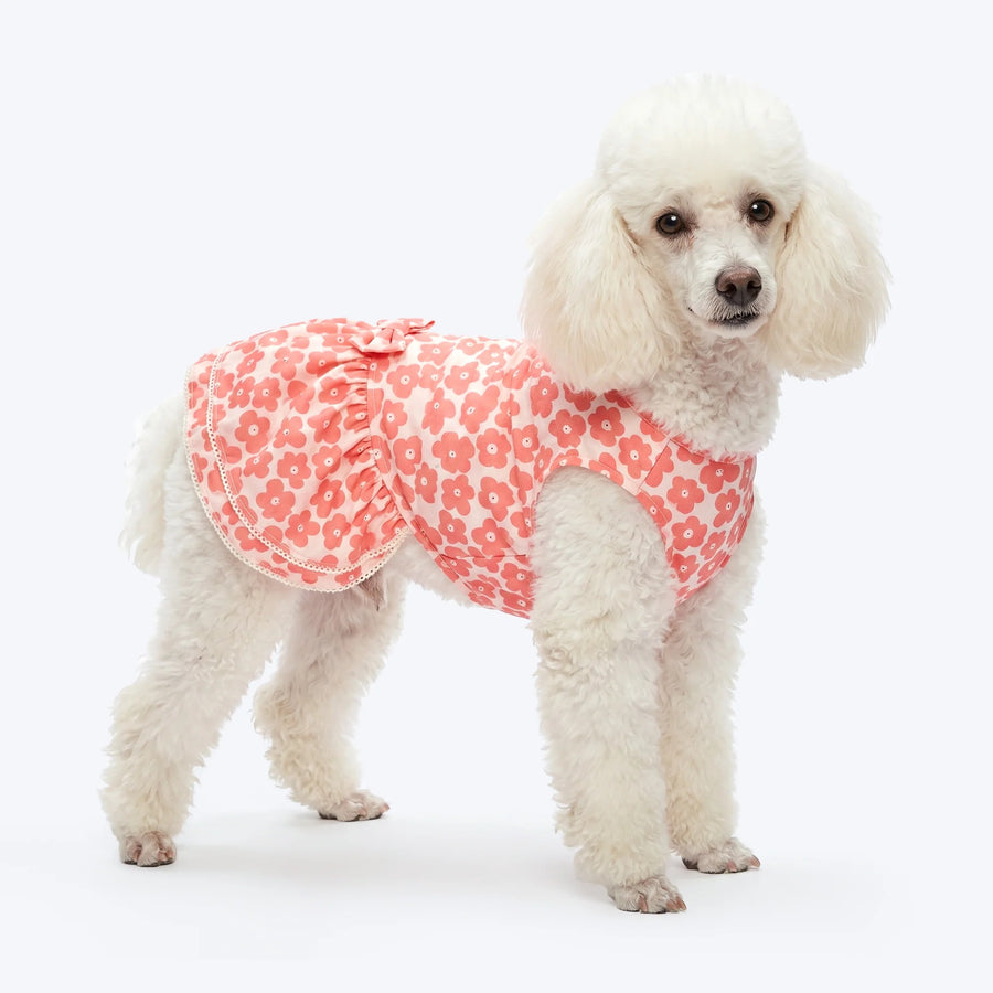 HUFT Daisy Printed Dress For Dog - Coral & White