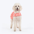 HUFT Daisy Printed Dress For Dog - Coral & White