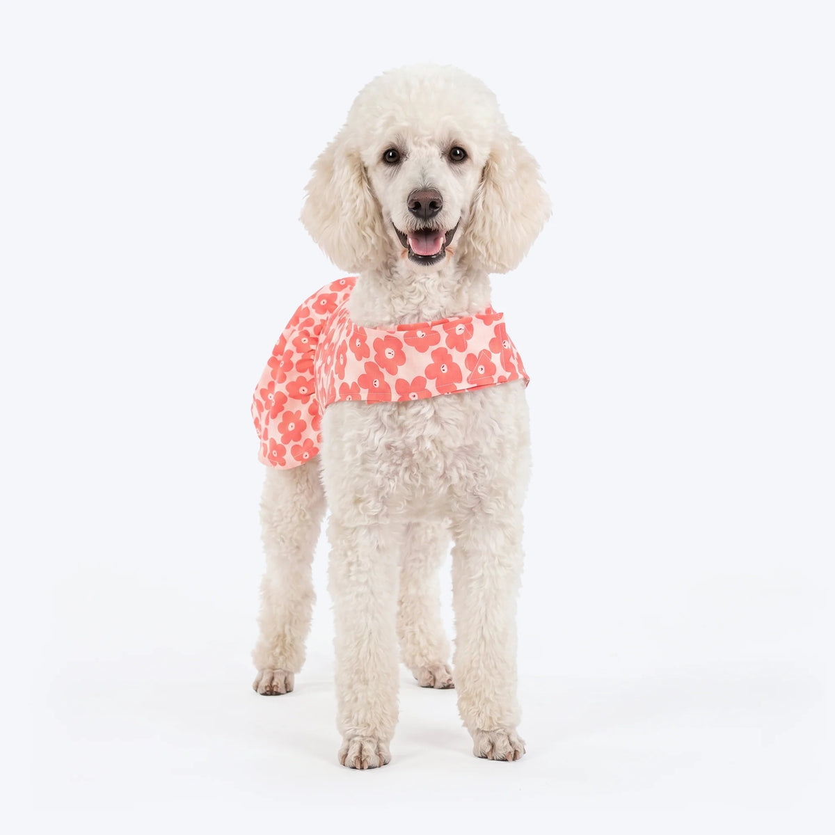 HUFT Daisy Printed Dress For Dog - Coral & White