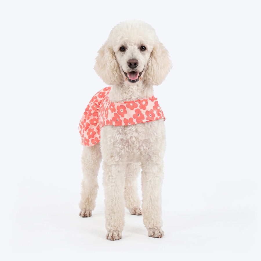 HUFT Daisy Printed Dress For Dog - Coral & White