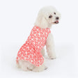 HUFT Daisy Printed Dress For Dog - Coral & White