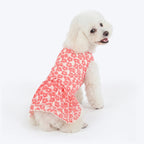 HUFT Daisy Printed Dress For Dog - Coral & White