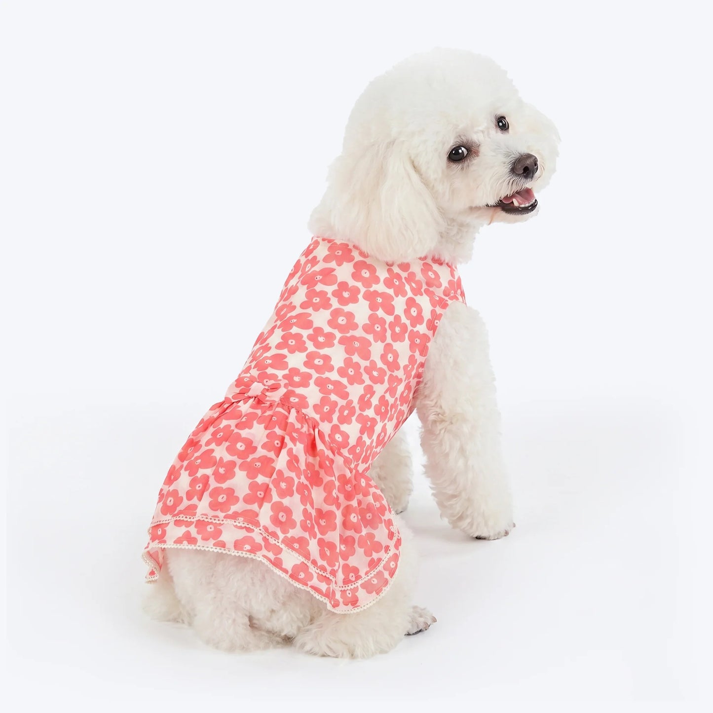 HUFT Daisy Printed Dress For Dog - Coral & White