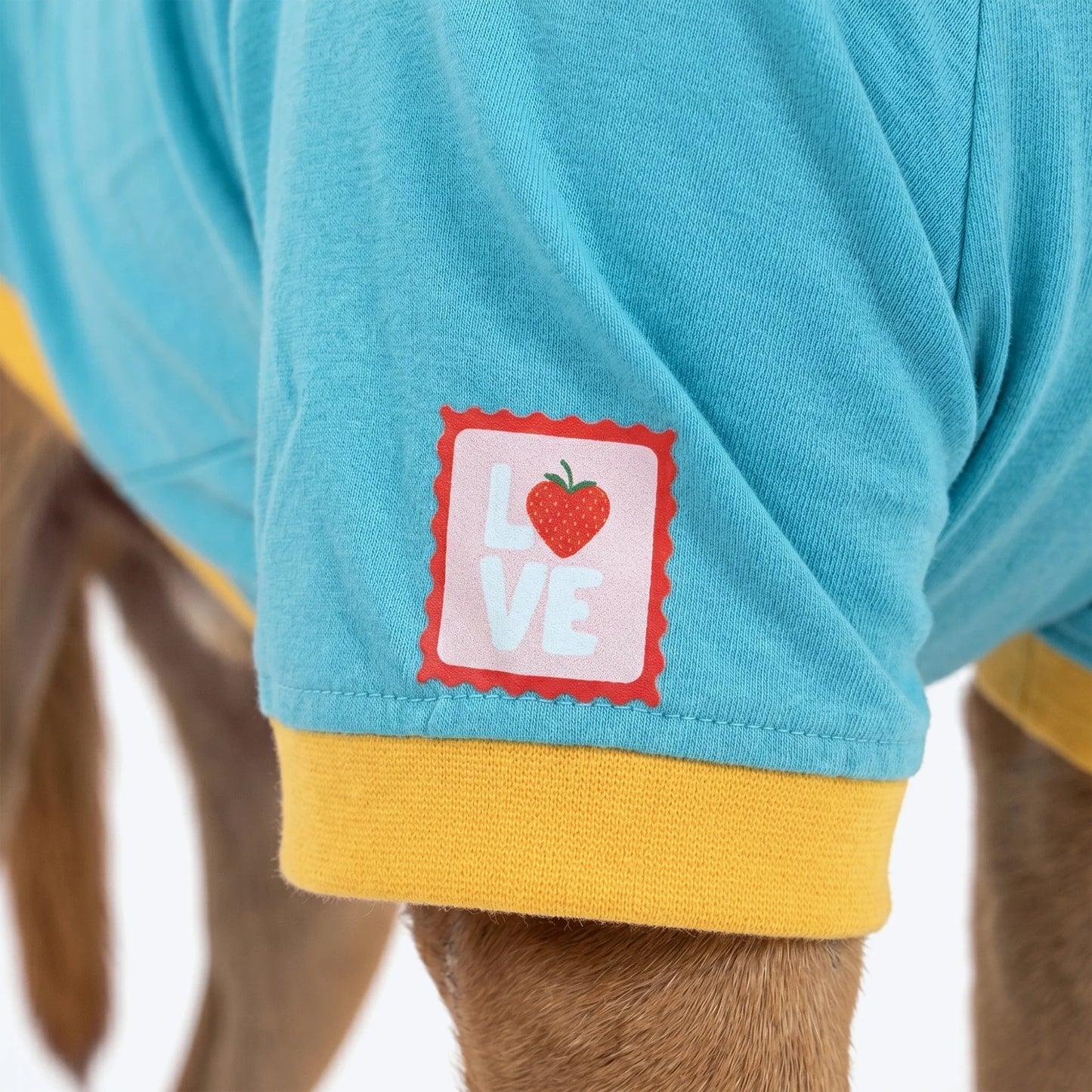 HUFT Rainbow Happiness Printed T-Shirt For Dog - Sky Blue