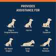 HUFT Trooper Hind Leg Support Lift Harness For Dogs - Navy Blue - Set Of 2