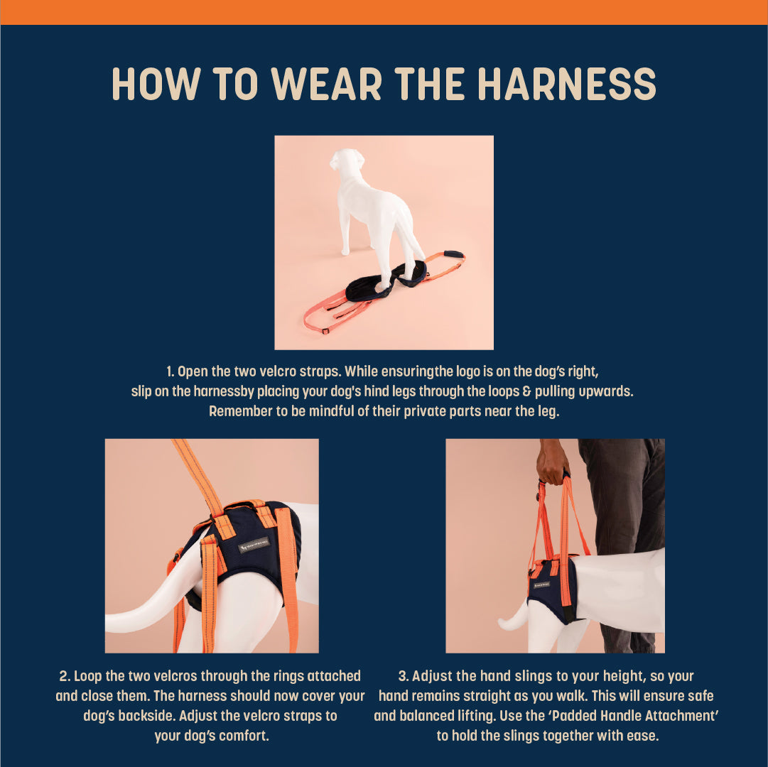 HUFT Trooper Hind Leg Support Lift Harness For Dogs - Navy Blue - Set Of 2