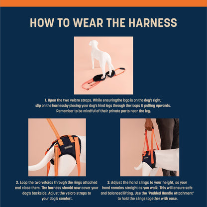 HUFT Trooper Hind Leg Support Lift Harness For Dogs - Navy Blue - Set Of 2