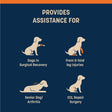 HUFT Trooper Mid-Body (Belly) Support Lift Harness For Dogs - Navy Blue