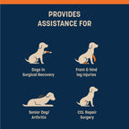 HUFT Trooper Mid-Body (Belly) Support Lift Harness For Dogs - Navy Blue