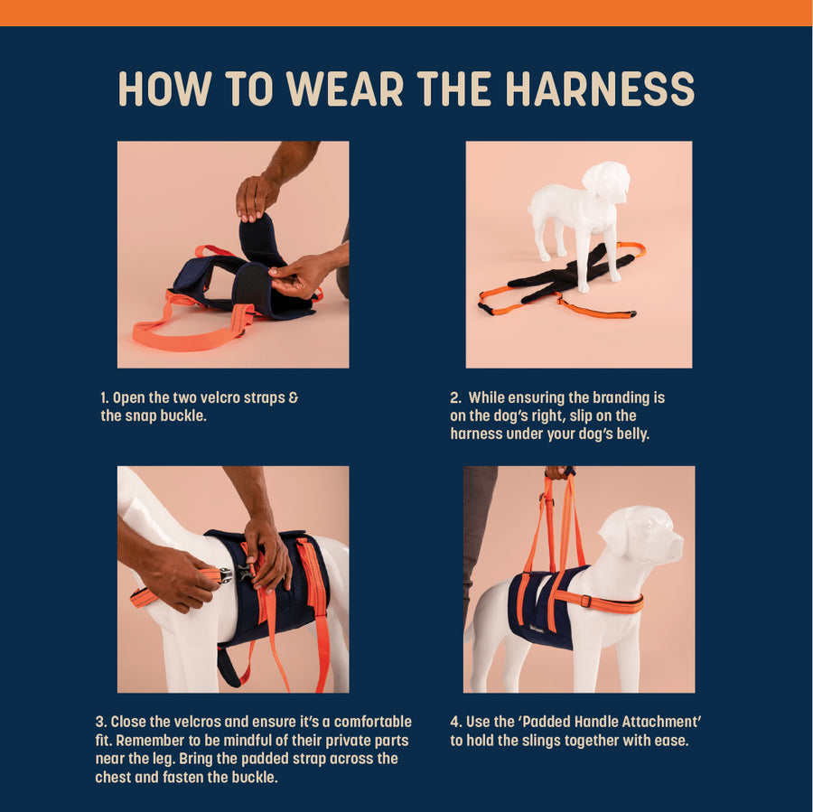 HUFT Trooper Mid-Body (Belly) Support Lift Harness For Dogs - Navy Blue