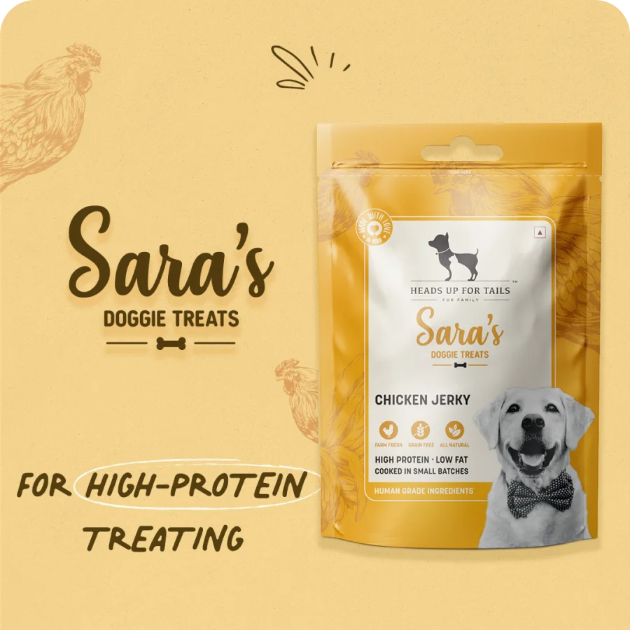 Sara’s Doggie Treats