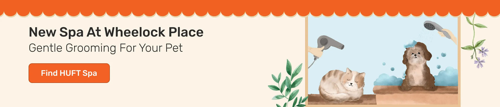 Featured banner
