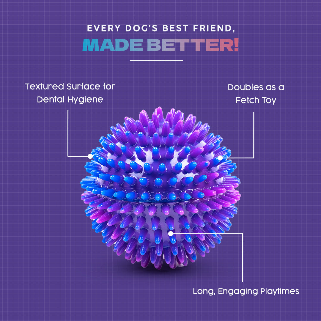 Dash Dog Spiky Ball Toy For Dog - Blue