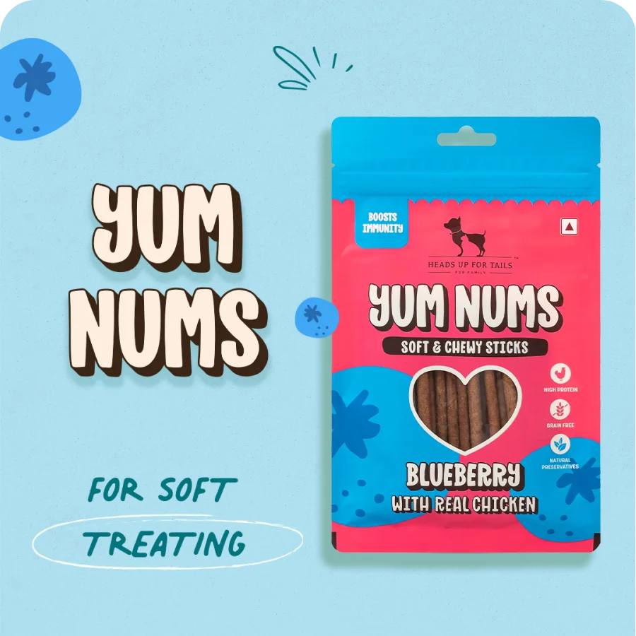 Yum Nums Chewy Sticks