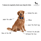 HUFT Organic Anti-Tick and Flea Spray for Dogs - 200 ml - Heads Up For Tails
