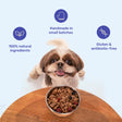 HUFT All Day Muesli with Strawberry, Blueberry and Cranberry Doggie Treats - 250 g - Heads Up For Tails
