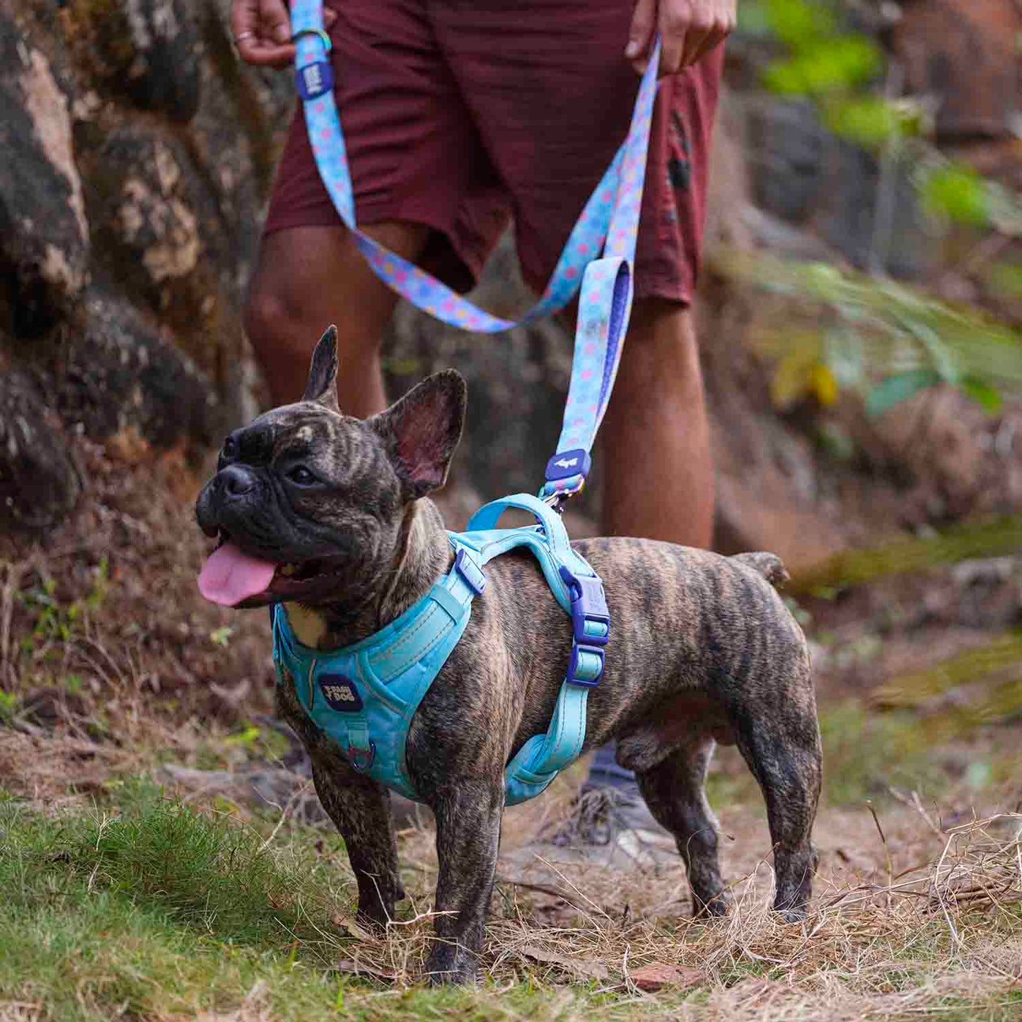 Dash Dog Circle Printed Leash - Aqua Blue & Lavender - Heads Up For Tails