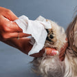 HUFT Biodegradable Pet Wipes_05