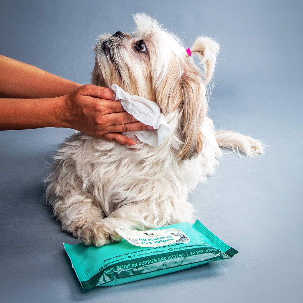 HUFT Biodegradable Pet Wipes_06