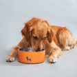 HUFT Quintessential Double-Walled Pet Bowl - 1200 ml - Heads Up For Tails