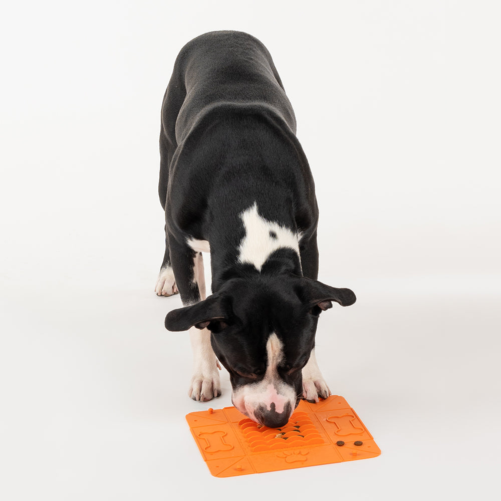 HUFT Silicone Collapsible Bowl For Pets - Orange - Heads Up For Tails