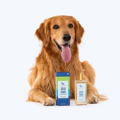 HUFT Aqua Paws Dog Perfume (Over 12 Weeks) - 100 ml - Heads Up For Tails